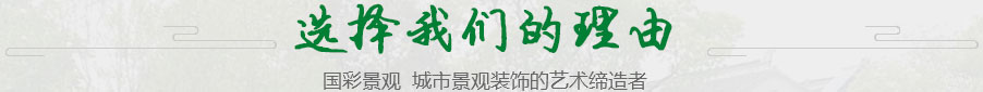 选择我们的理由